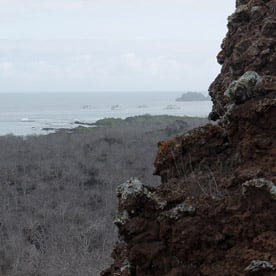 Baroness Viewpoint